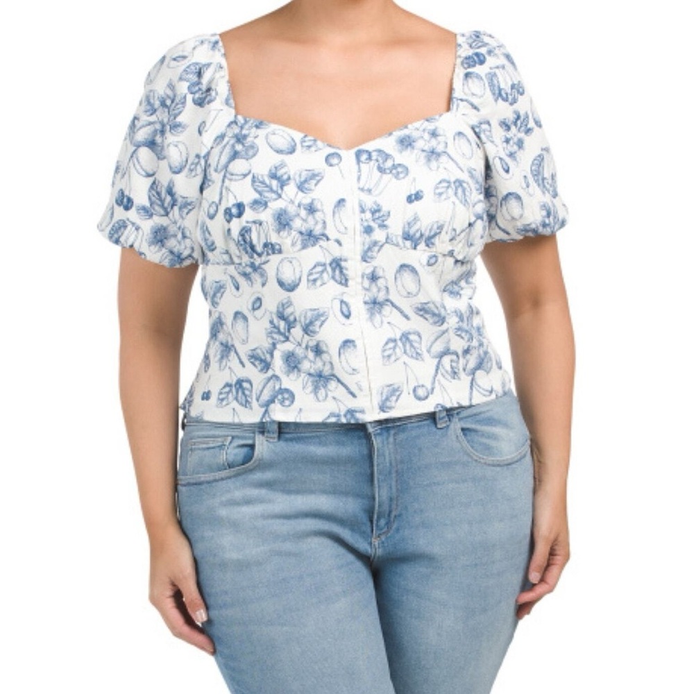 🧸2/$30🧸 Rachel Zoe White Crop Top with Blue Fruit Print